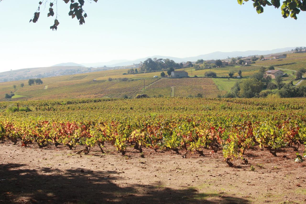 Chateau De La Chapelle Des Bois Fleurie Esterno foto